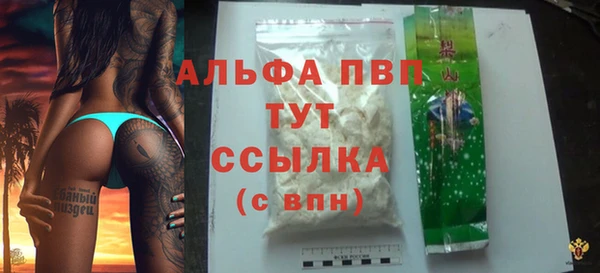 спайс Ладушкин