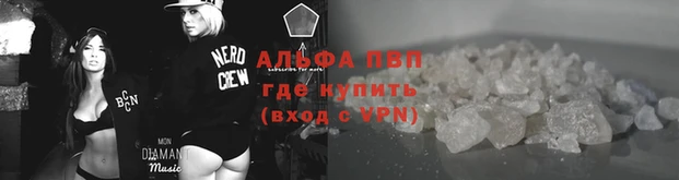 спайс Ладушкин
